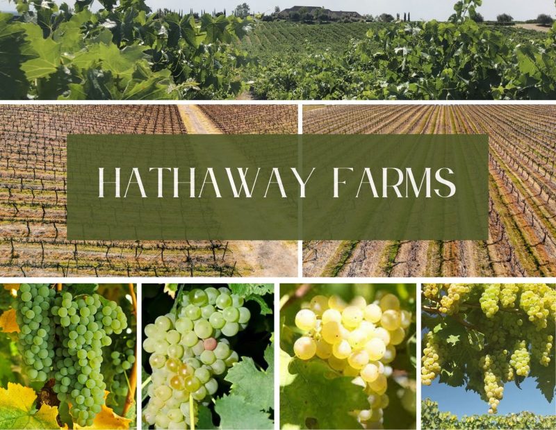 Hathaway Farms
