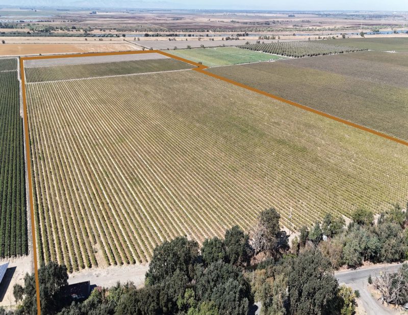 Johas Vineyards