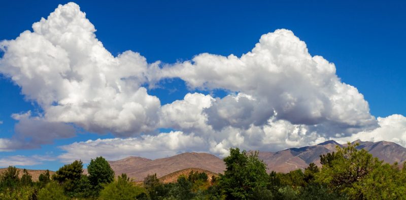 Mojave North