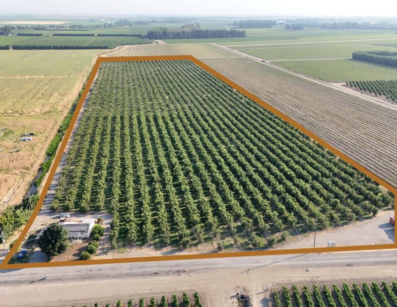 Pearadise Orchards
