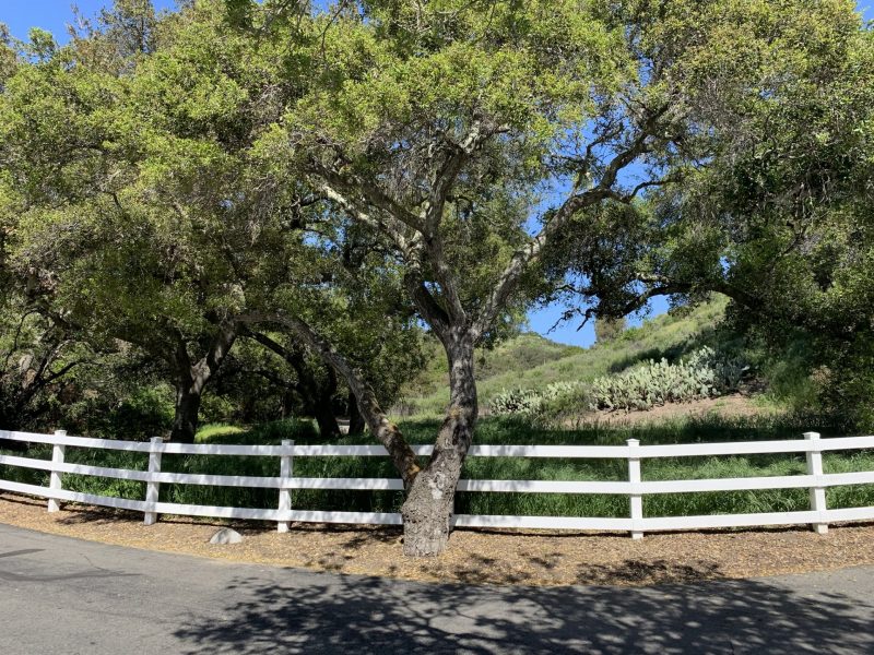 Rancho Oaks at Hamilton Trail
