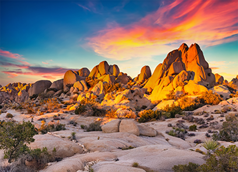 High Desert