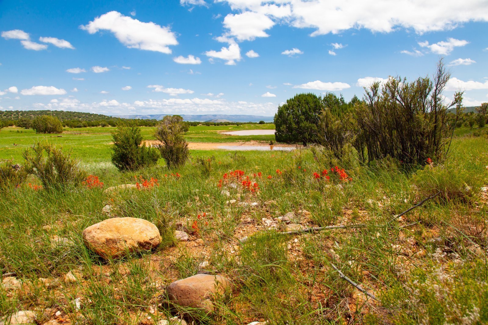 Yavapai Ranch, Yavapai County, AZ 8/19/21