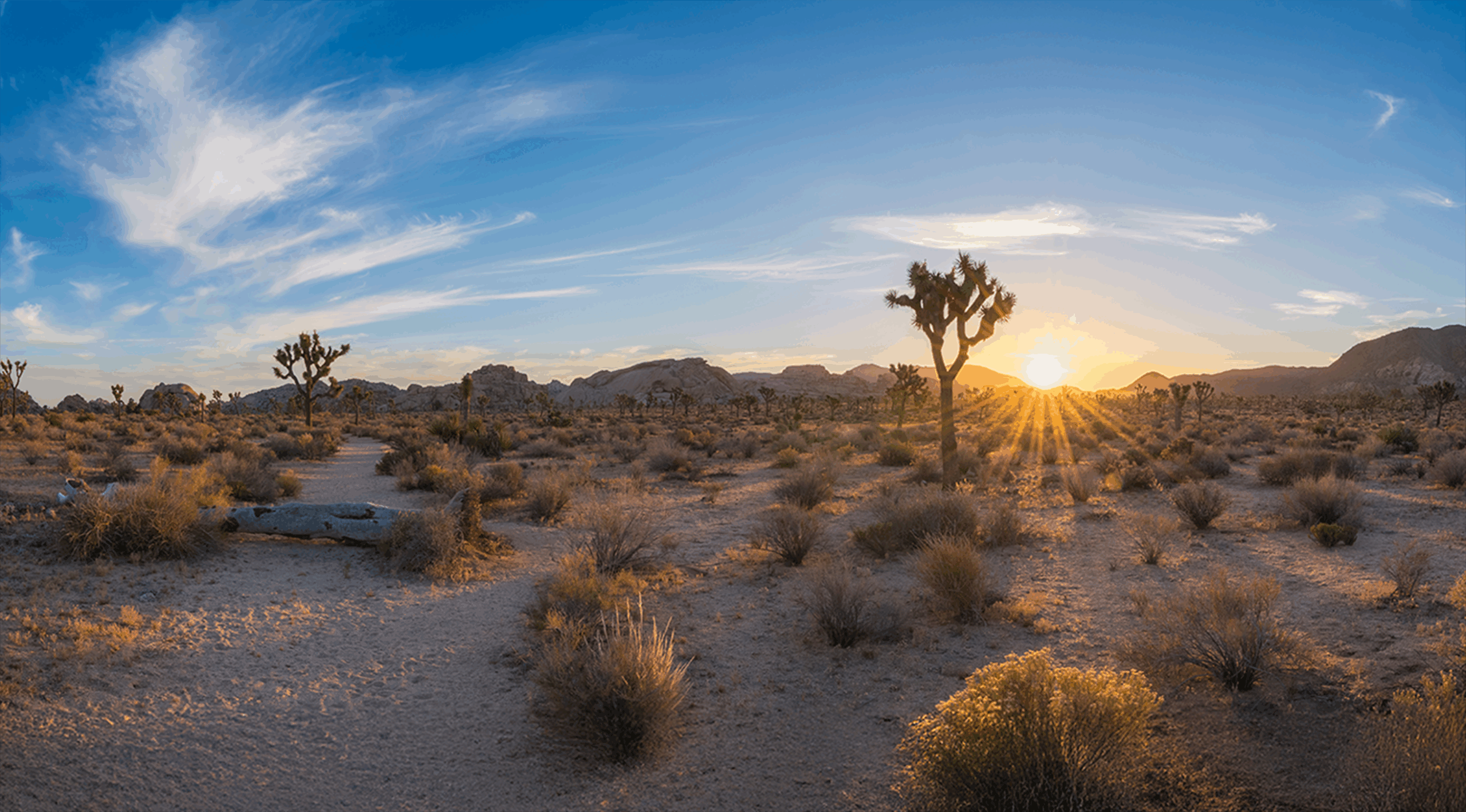 ca-high-desert-cta@2x