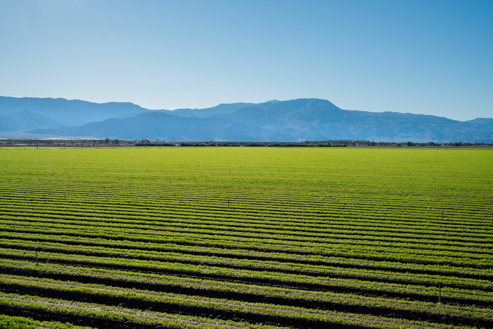AdobeStock_103315355