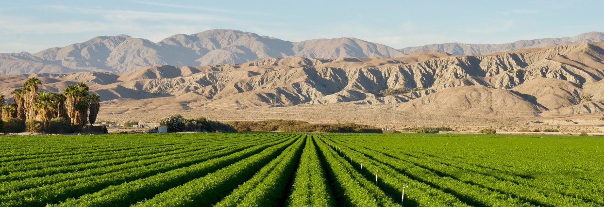 Agriculture (3)