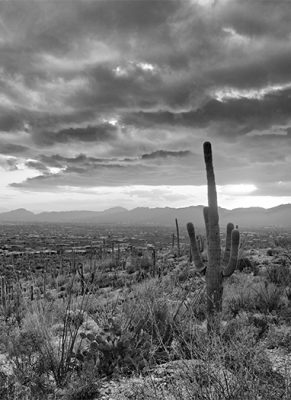 Tucson Istock 638343332 Test