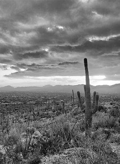 Land Brokers Tucson | Land For Sale Tucson & Southern AZ