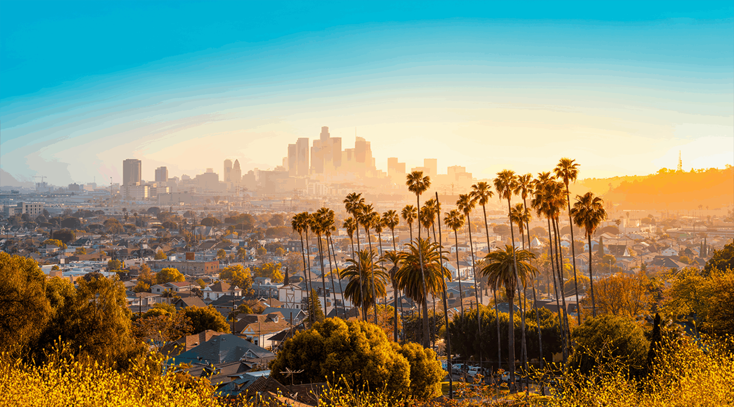 ca-los-angeles-cta@2x