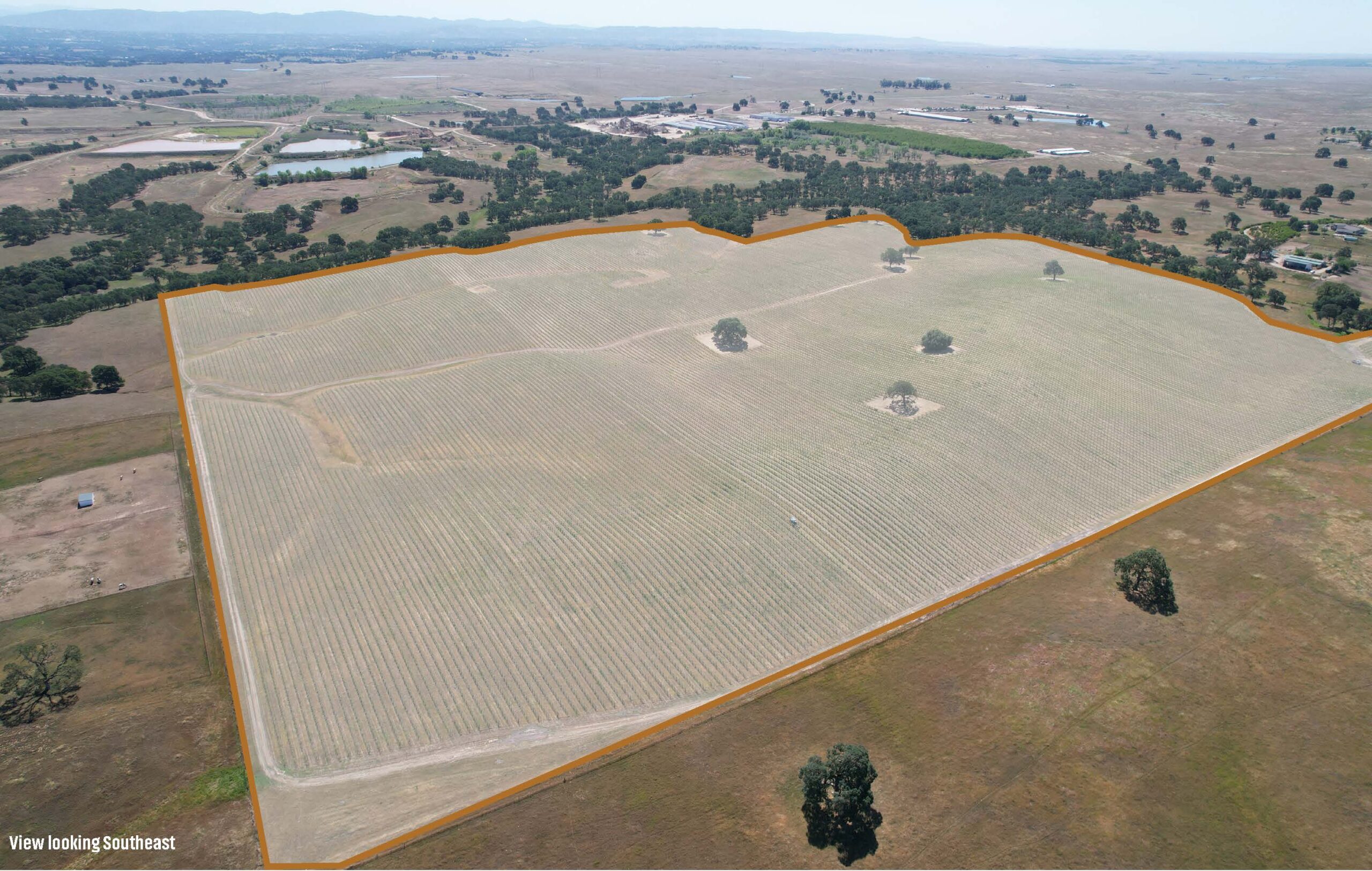 Eblast Hidden Oaks Vineyard