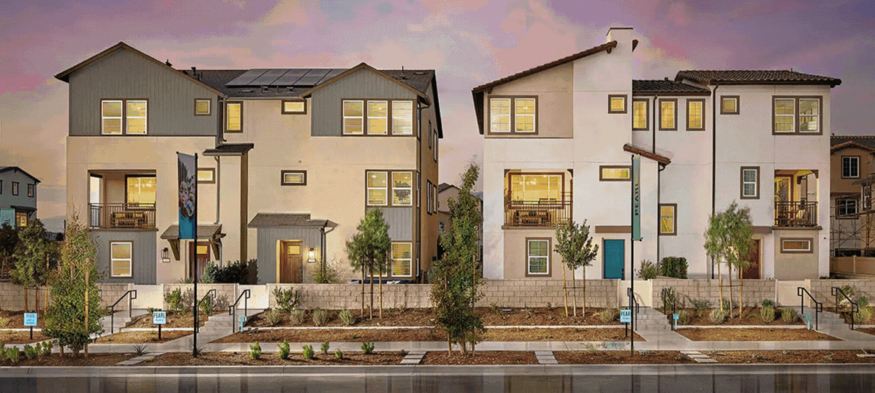 Leal (1244 x 559 px)