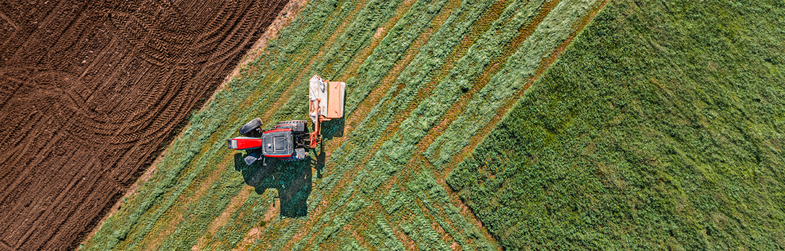 agriculture-lg@2x